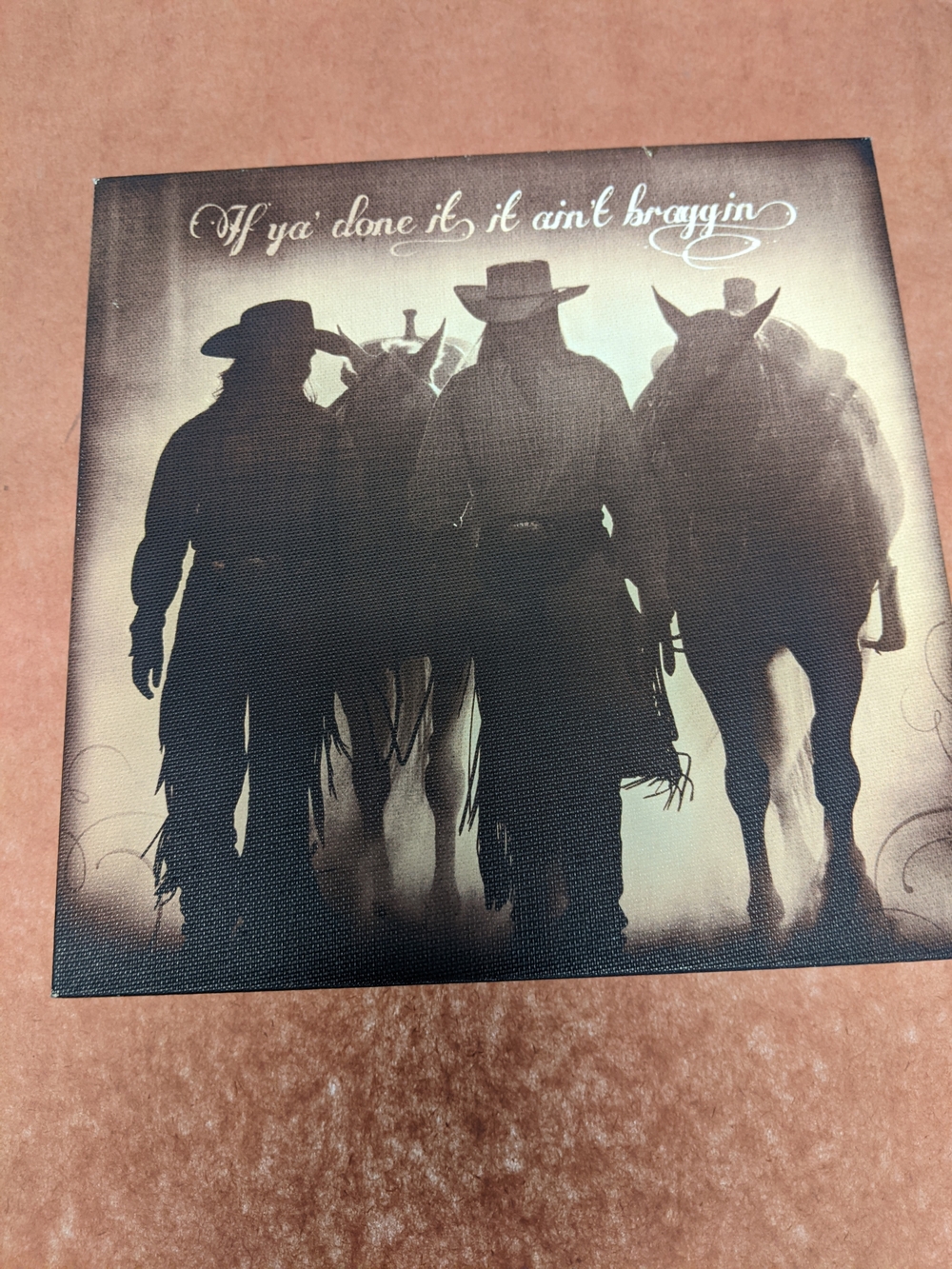 Original David Stoecklein Cowgirls Silhouette 8x8x1 Canvas Print